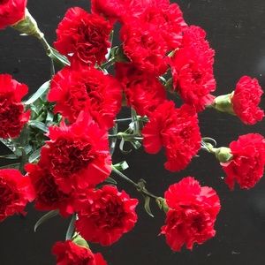 Meet your Posher, Fang